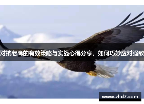 对抗老鹰的有效策略与实战心得分享，如何巧妙应对强敌