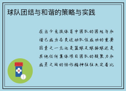 球队团结与和谐的策略与实践